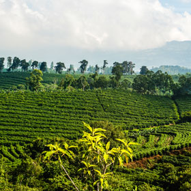 Agricultural Chemicals-Farm Chemicals
